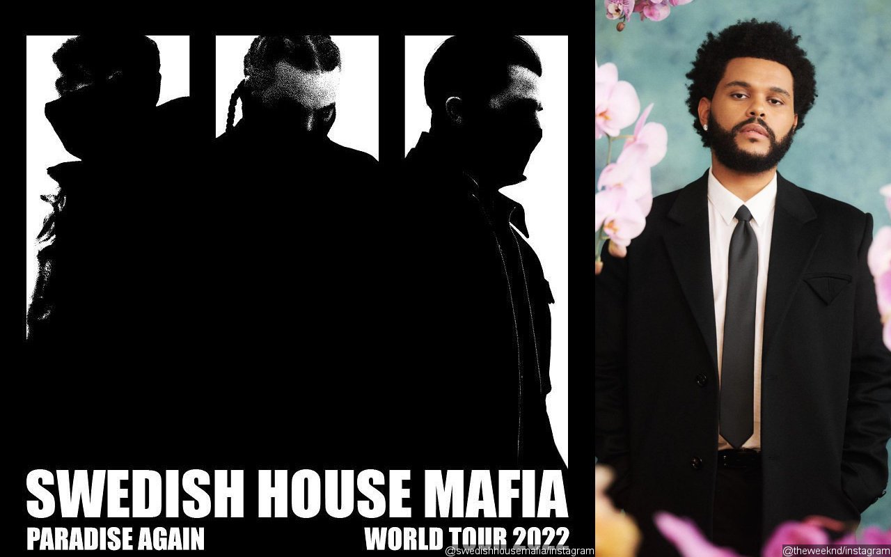 Swedish house mafia the weeknd moth