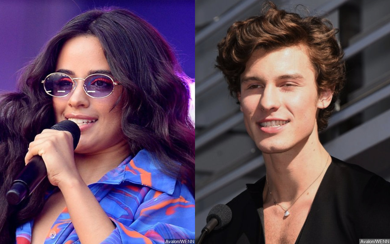 Camila Cabello Appears to Be in Low Spirits in First Public Pic After ...