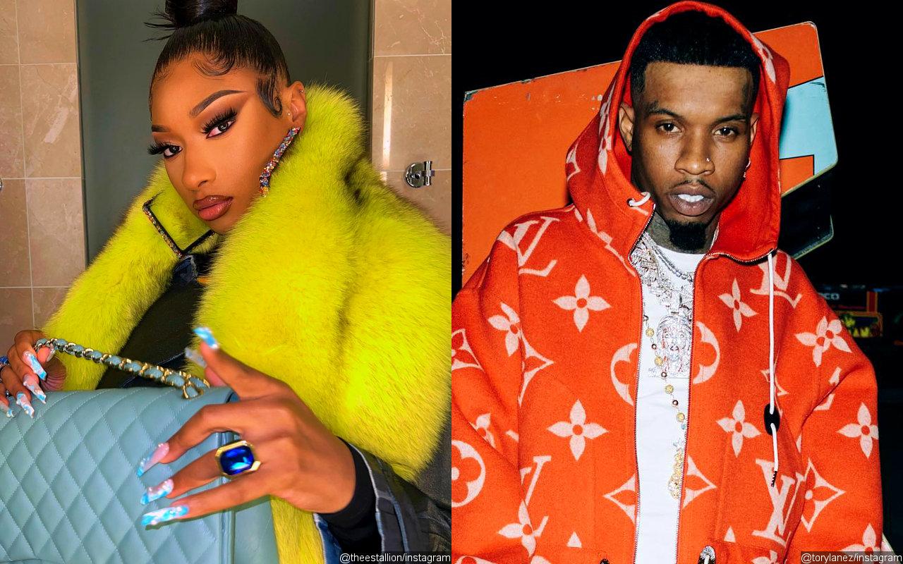 Megan Thee Stallion Wishes Tory Lanez 'Go to Jail' Amid Shooting Case