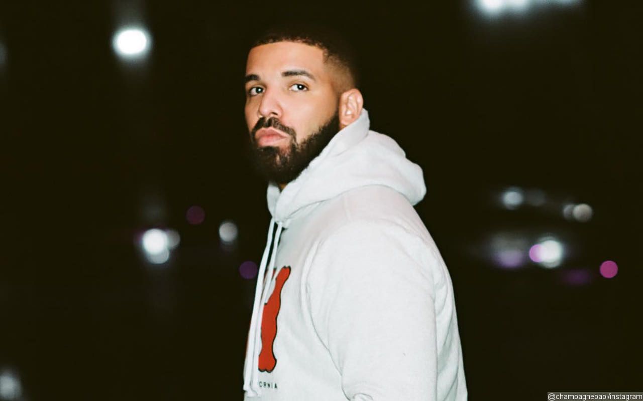 Drake Pauses His Performance at Super Bowl Concert After Fan Shoots Her Shot With Him 