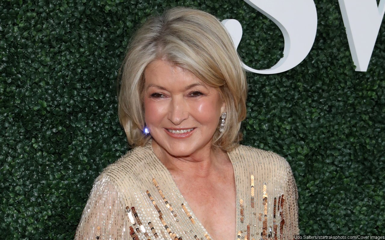 Martha Stewart got 'a beautiful ring' from mystery man after covering SI  Swim