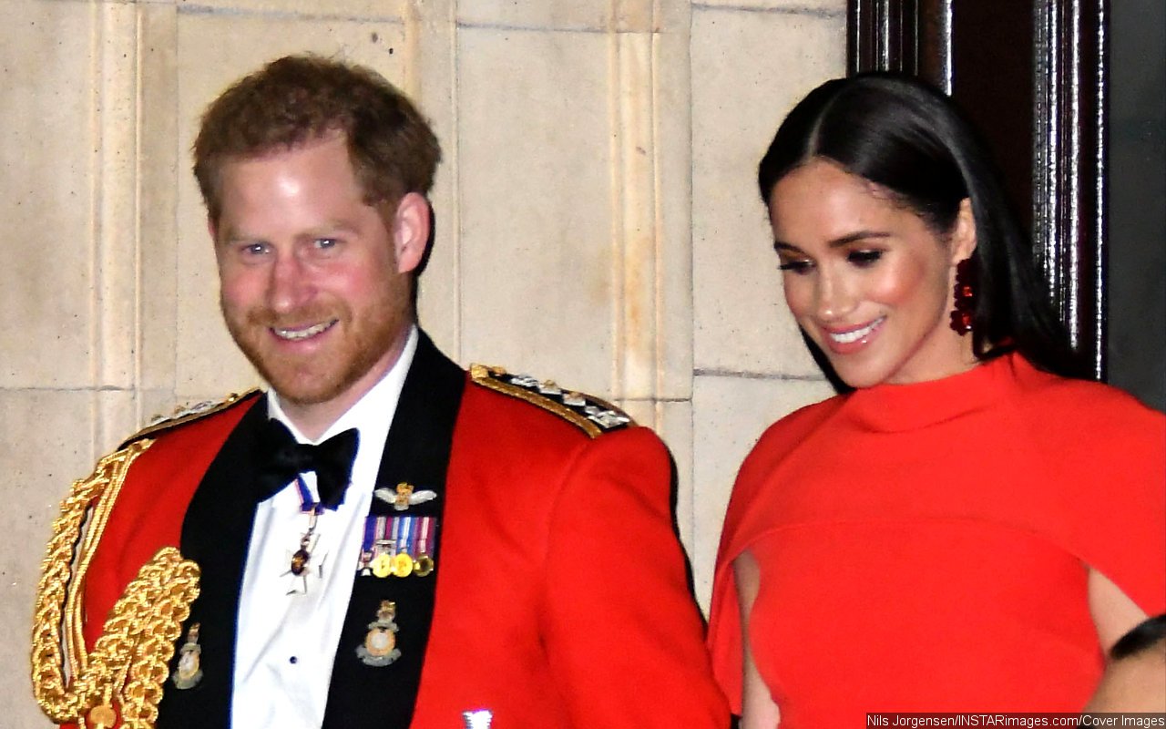 Prince Harry and Meghan Markle Support Calls for Adverts to Break the Gender Binary