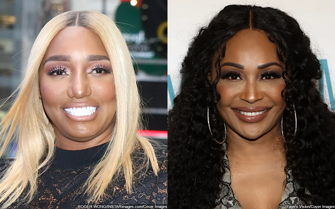 NeNe Leakes and Former BFF Cynthia Bailey Squash Their Beef After Friendly Reunion