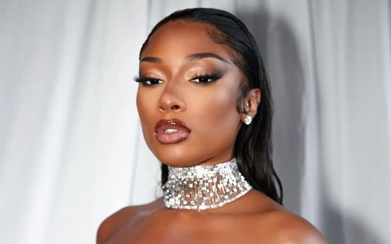 Megan Thee Stallion Baffled by Pardison Fontaine's Diss: Why Are You Talking About Me?