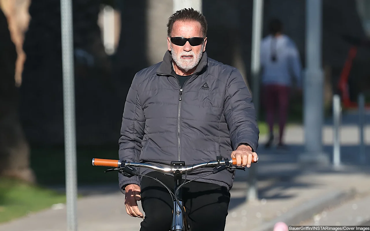 Arnold Schwarzenegger Cracks Raunchy Jokes About Detainment at Auction