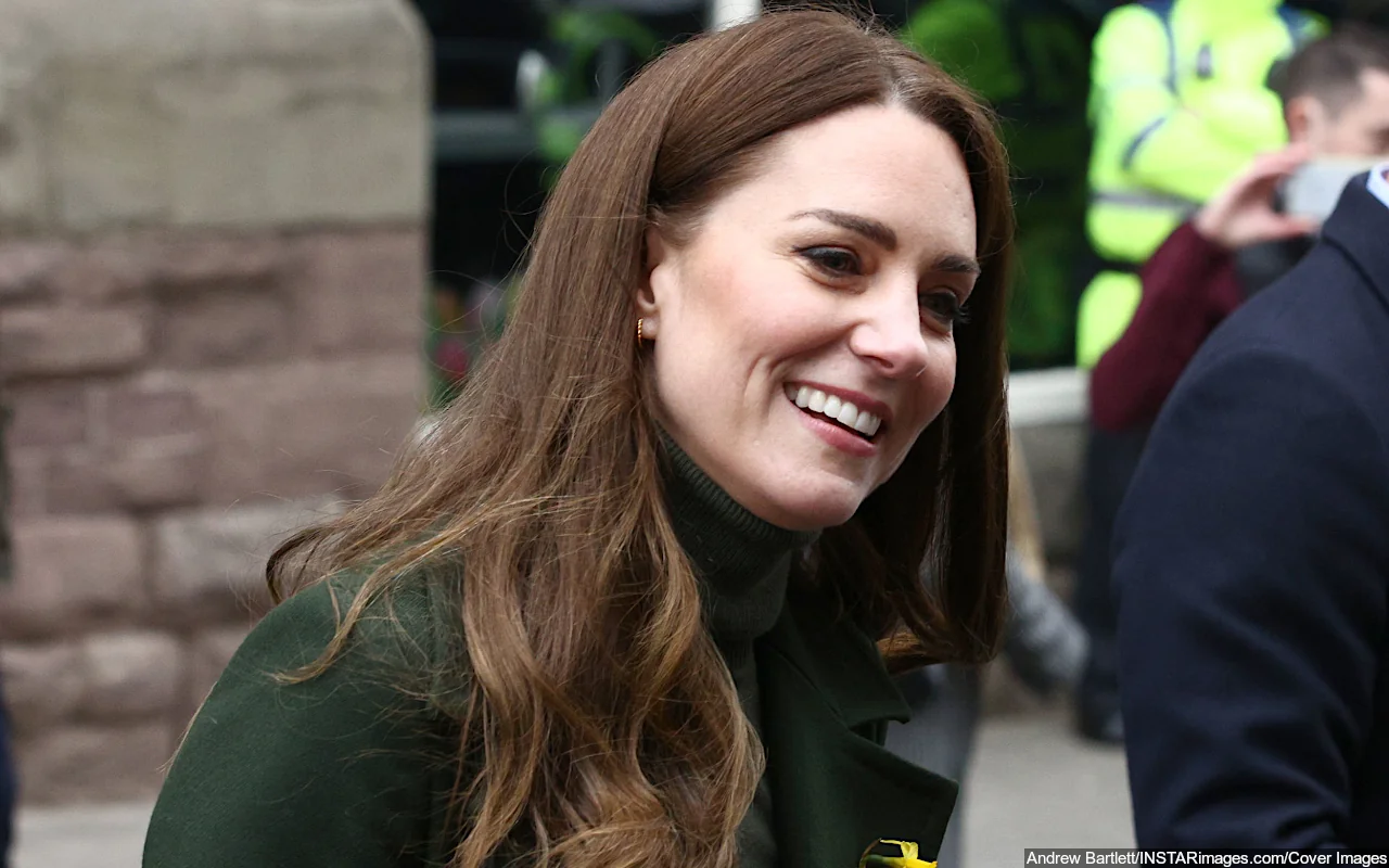 Perpetrator in Kate Middleton's Medical Records Breach May Face ...