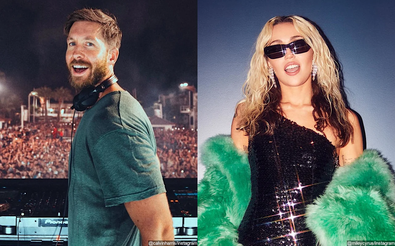 Calvin Harris Teases Upcoming Joint Track With Miley Cyrus at Mexico Show