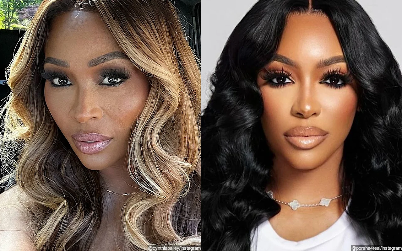 Cynthia Bailey Weighs In on Porsha Williams' Divorce, Shares Her Advice