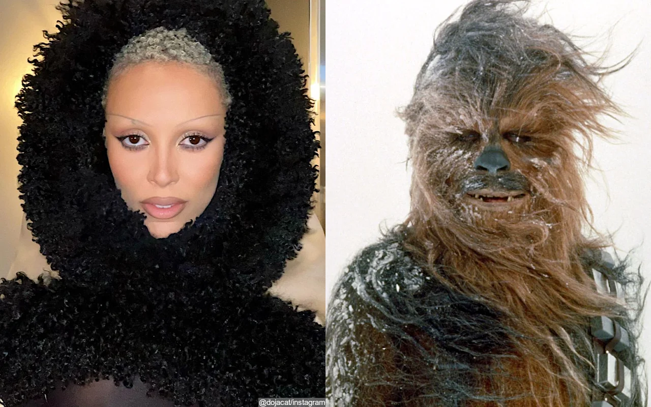 Doja Cat Musings on Chewbacca's Sexuality Raise Questions for 'Star Wars' Fans