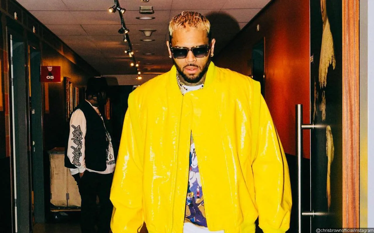 Chris Brown Walks Off the Stage Following Another Malfunction on Tour