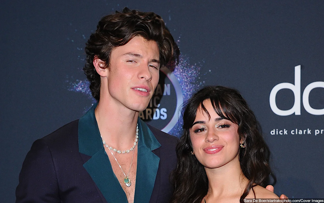 Camila Cabello Denies Shading Shawn Mendes During Her Performance at Rock in Rio