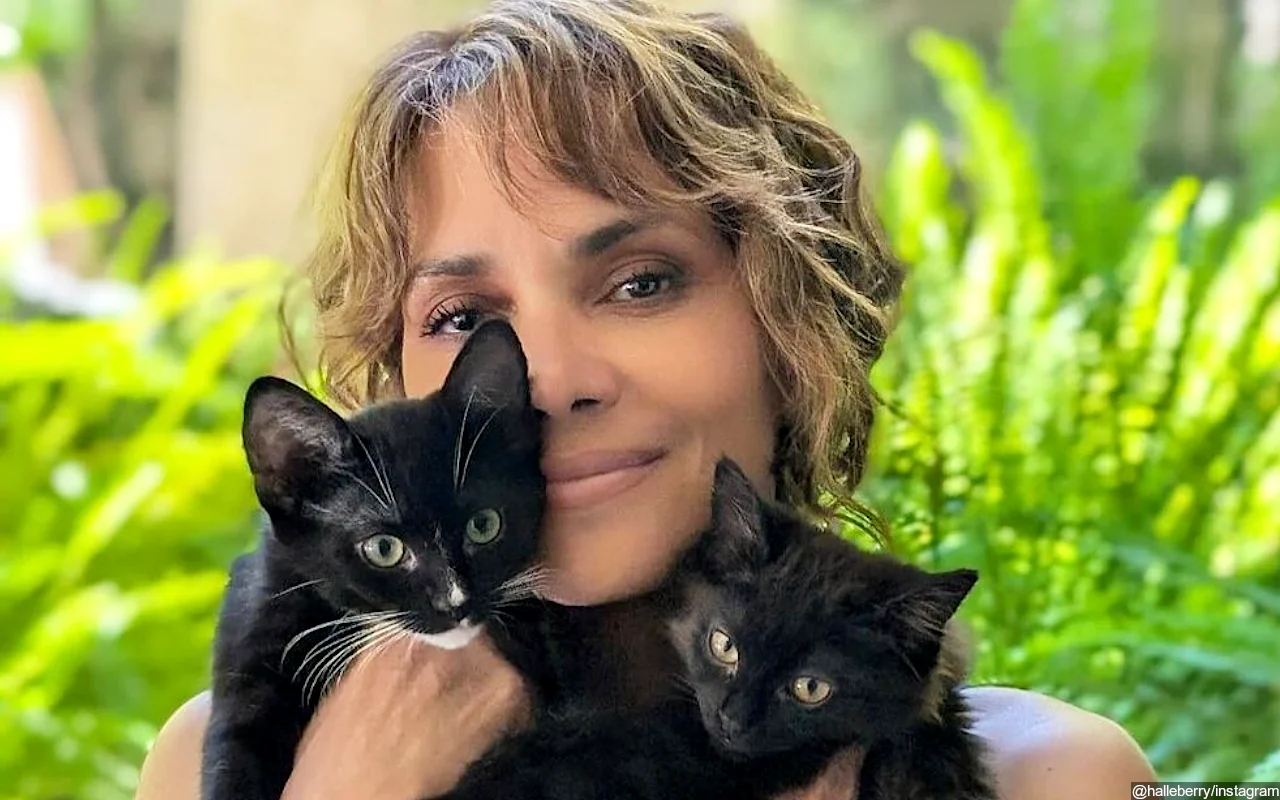 Halle Berry Welcomes New Feline Friends to Her Full House
