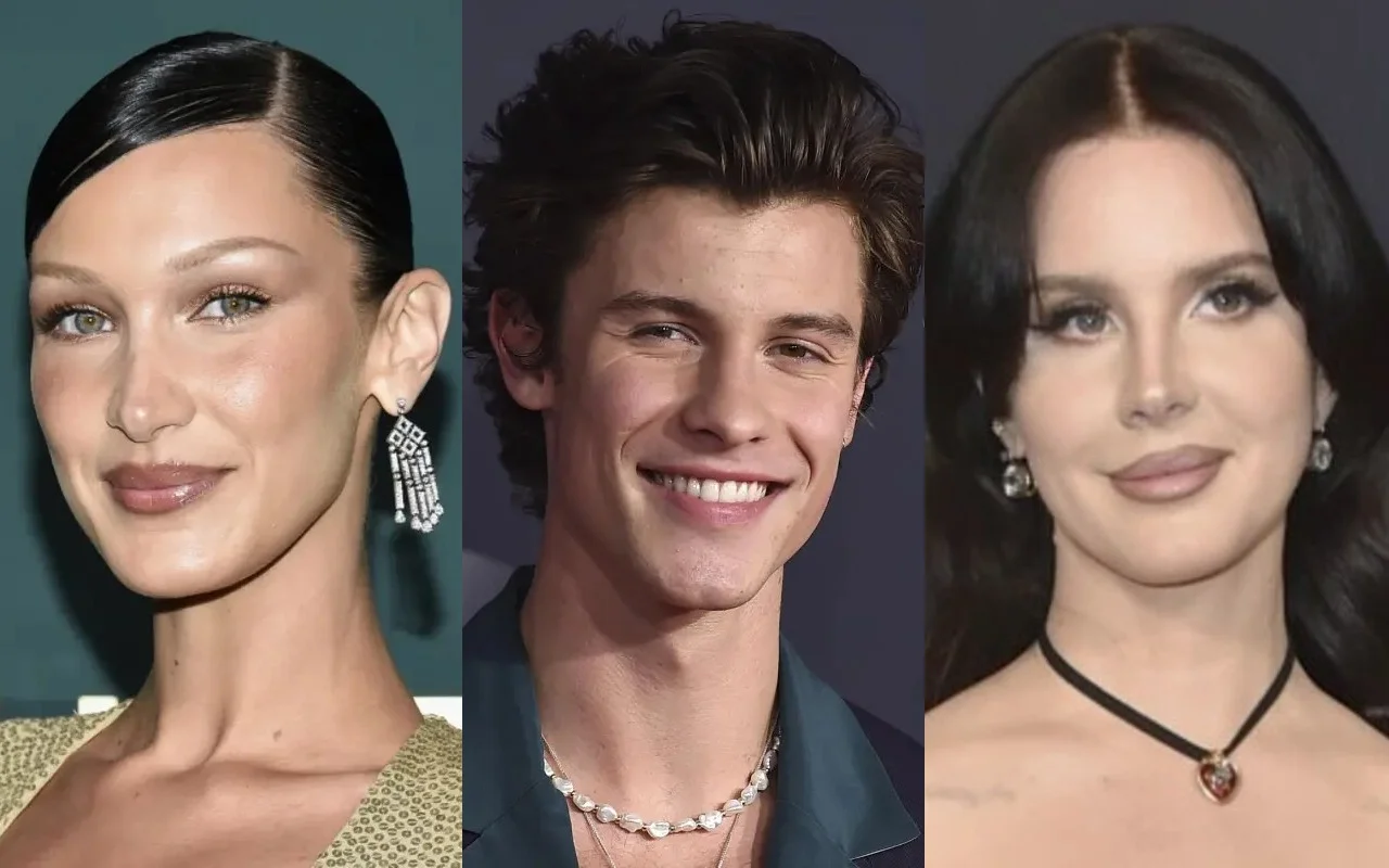 Bella Hadid, Shawn Mendes, Lana Del Rey and More Ribbed During