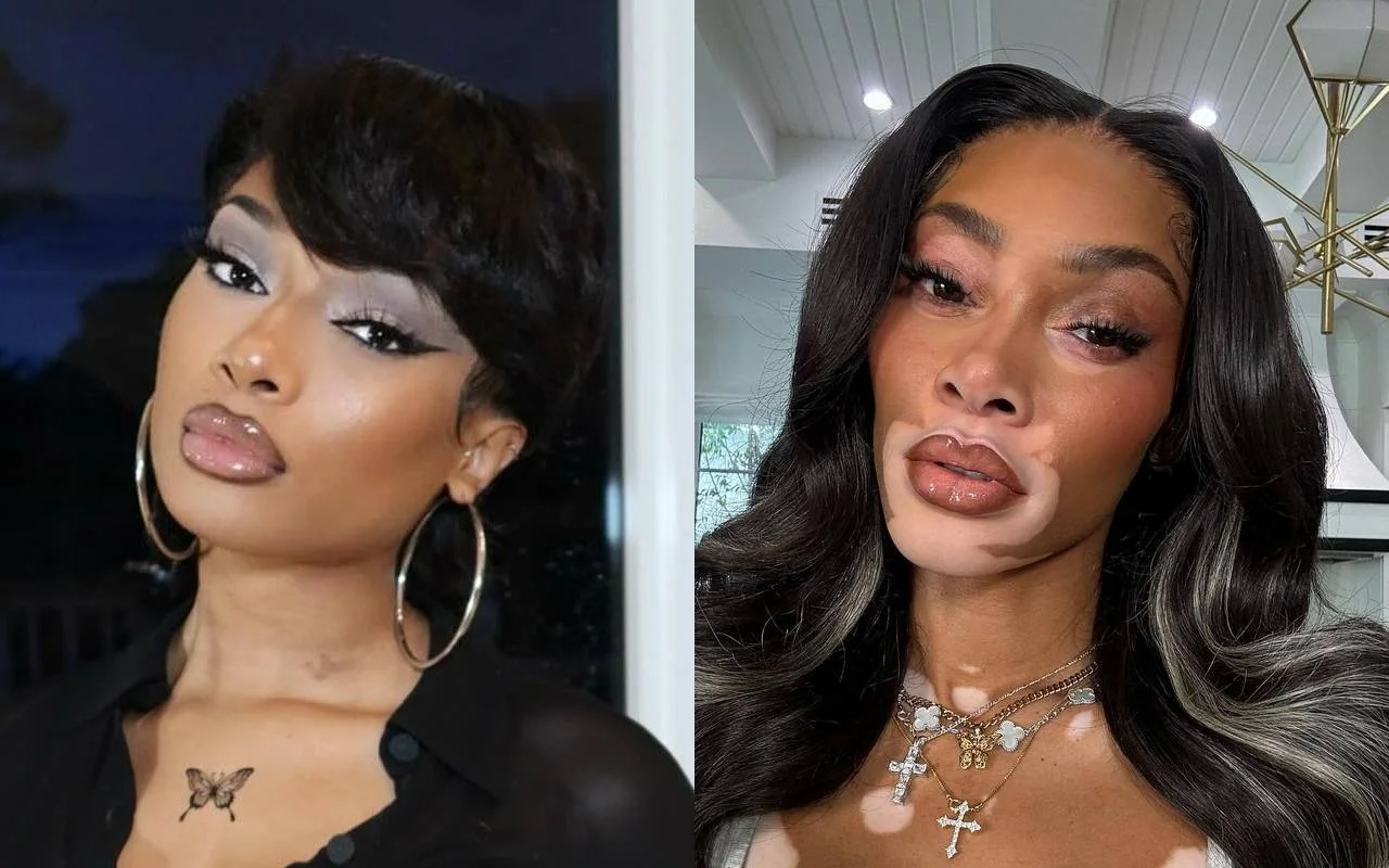 Megan Thee Stallion amenazó con golpear a Winnie Harlow por su comentario sobre Tory Lanez