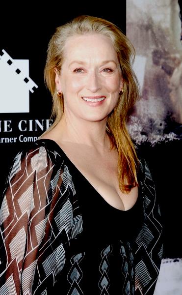 Meryl Streep<br>Rendition Premiere - Arrivals