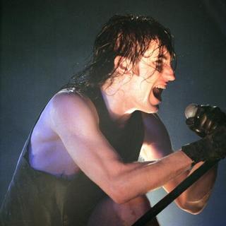 Nine Inch Nails in 