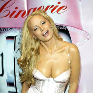 Cindy Margolis in Lingerie Bowl III National Kick Off Party