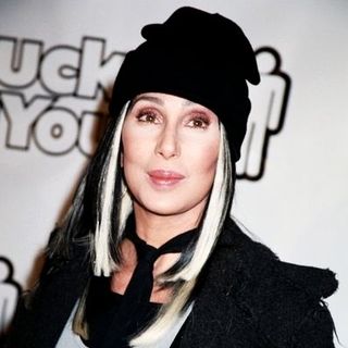 Cher in The Stuck on You Premiere