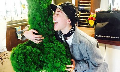 Miley Cyrus Gets Penis-Shaped Plant From Chelsea Handler for Her Birthday