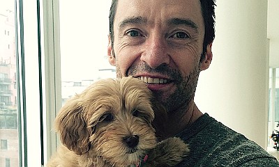 Hugh Jackman Adopts New Puppy Ahead of Christmas