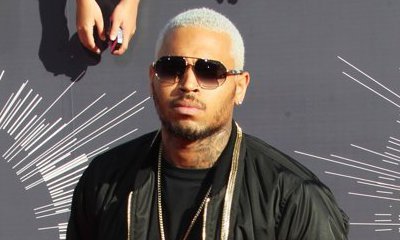 Chris Brown's Car Searched for Gun by Police