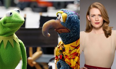 ABC Picks Up 'Muppets' Revival and Shonda Rhimes Thriller to Series, Renews 'Agent Carter'