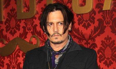 Johnny Depp May Face Jail Time for Dogs Breach