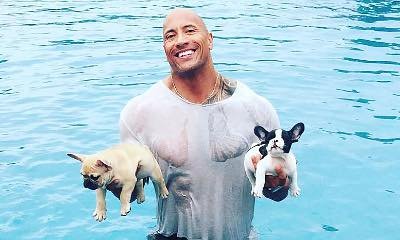 Dwayne Johnson Jumps Into Pool to Save Two Puppies From Drowning