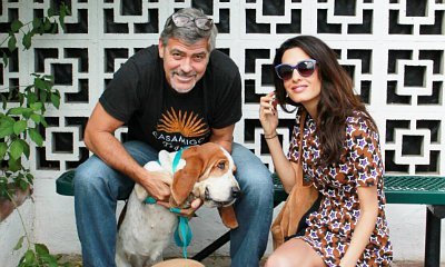 George Clooney and Wife Amal Alamuddin Adopt Rescue Dog