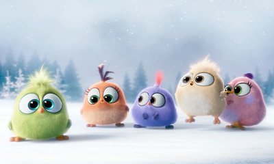 See Some Cute Hatchlings in 'Angry Birds' New Video