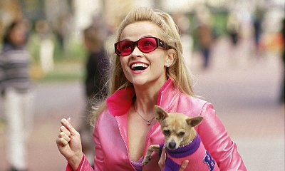 Reese Witherspoon Posts Sweet Message to Mourn 'Legally Blonde' Chihuahua