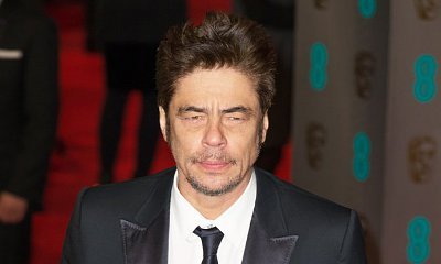 Benicio Del Toro in Talks to Star in Shane Black's New 'Predator' Movie