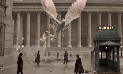 Monsters and War Unleashed in New 'Fantastic Beasts and Where to Find Them' Trailer