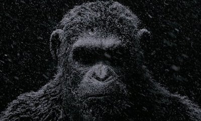Caesar Gives Warning in Haunting Teaser of 'War for the Planet of the Apes'