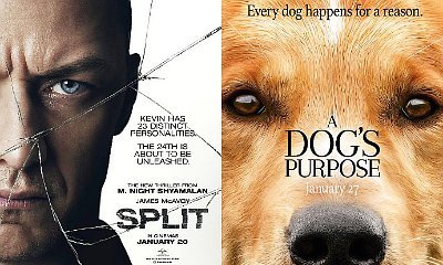 a dogs purpose animal cruelty