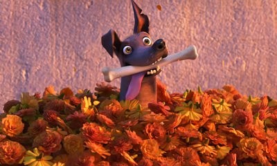 New Short Film for 'Coco' Features Cute Dog and Magical Bone