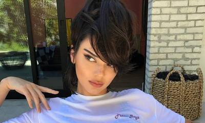 Kendall Jenner Looks Unrecognizable in Her Latest Instagram Pictures