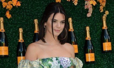 Kendall Jenner Bares Her Underboob and Tiny Waist in Latest Selfie