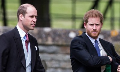 Prince William and Prince Harry Regret Last Short Phone Call With Princess Diana