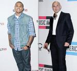 Chris Brown and Pitbull's New Song 'International Love'