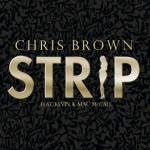 Chris Brown Enjoys a Good Party in 'Strip' Music Video