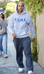 Chris Brown to Stay Under Supervised Probation Despite Positive Progress Report