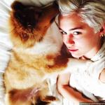Miley Cyrus Introduces New Puppy Named Emu