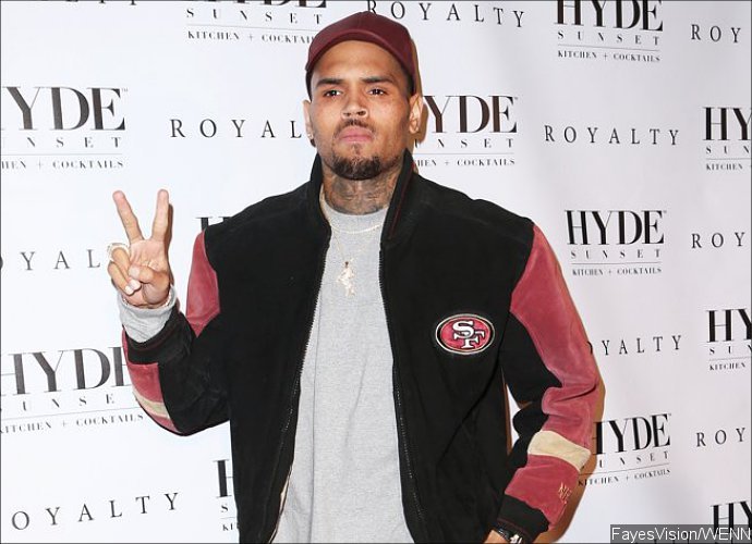 Chris Brown Is Doing Community Service Solely for Media Attentions