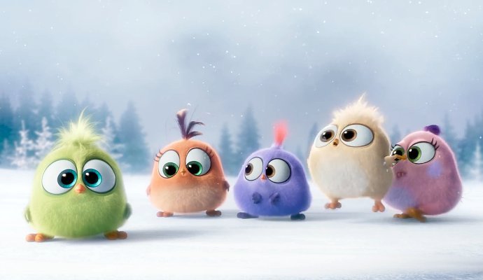 See Some Cute Hatchlings in 'Angry Birds' New Video