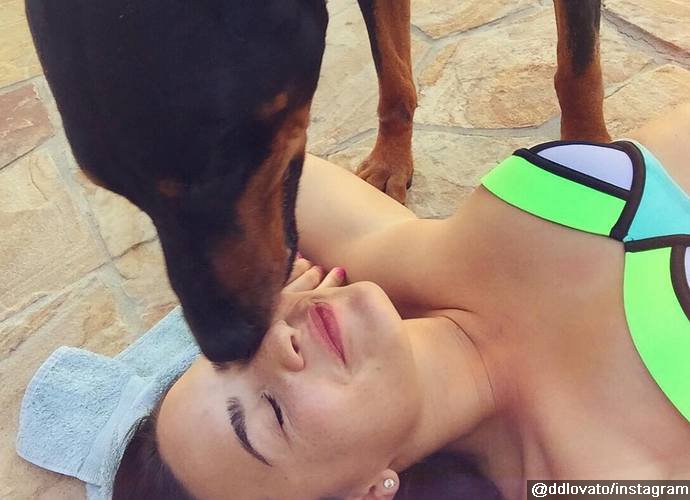 Demi Lovato Mourns Her Beloved Dog Spawn