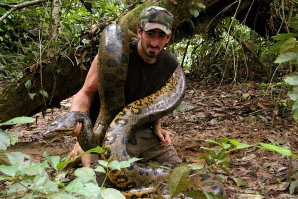 Eaten Alive' -- Anaconda Used in Failed TV Stunt Was a RINGER