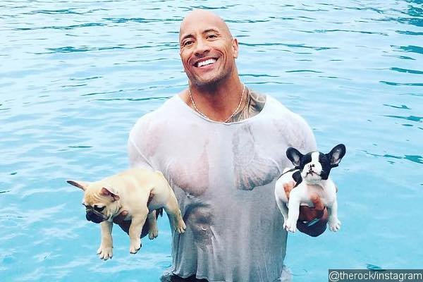 Dwayne Johnson Jumps Into Pool to Save Two Puppies From Drowning
