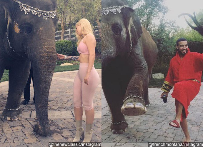 Iggy Azalea and French Montana Under Fire for Posing With Elephant at His Backyard