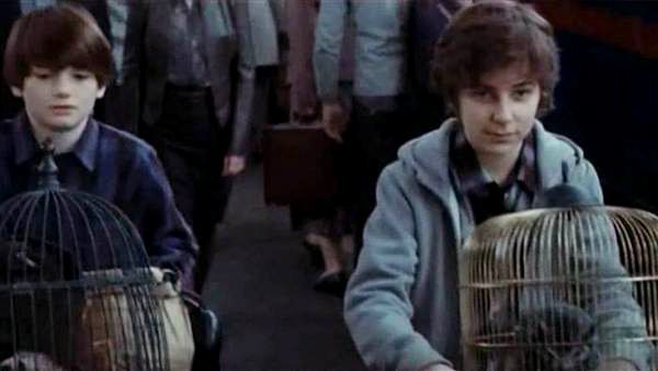 J.K. Rowling Confirms Harry Potter's Oldest Son James Sirius Goes Into Gryffindor
